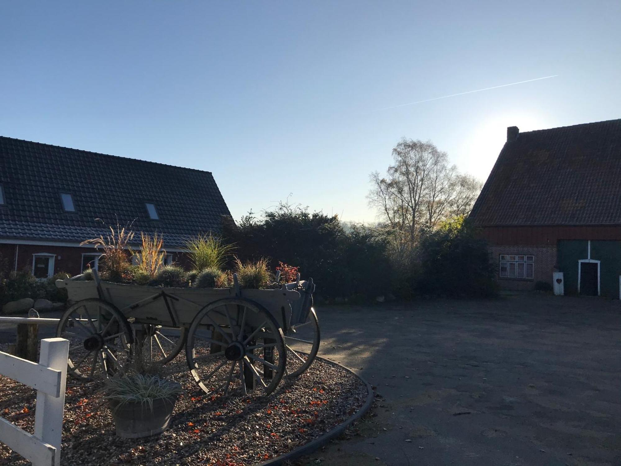 Moderne Ferienwohnung Auf Gut Bennewohld Wl Heide  Exterior foto